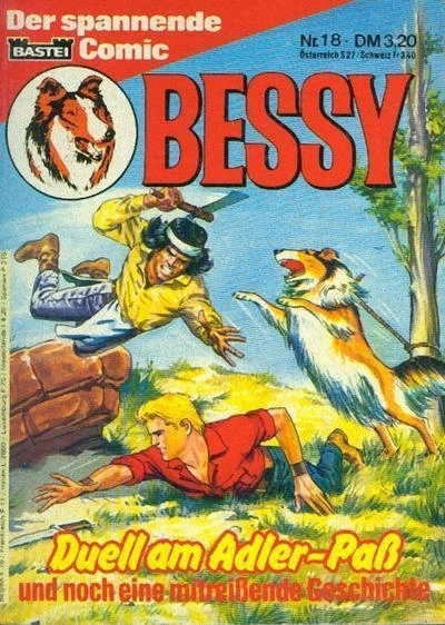 Cover of Duell am Adler-Paß