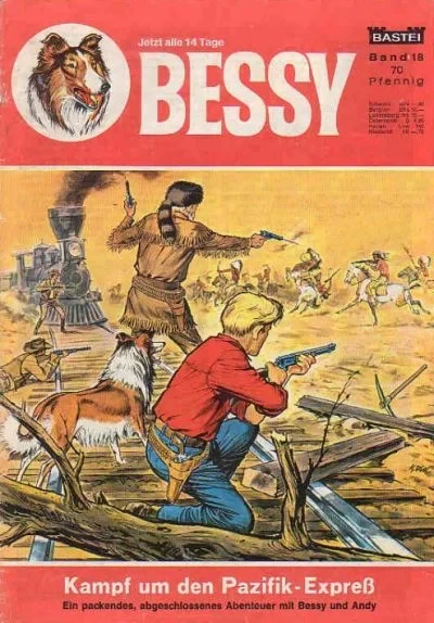 Cover of Kampf um den Pazifik-Express