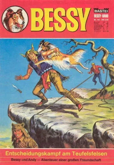 Cover of Entscheidungskampf am Teufelsfelsen
