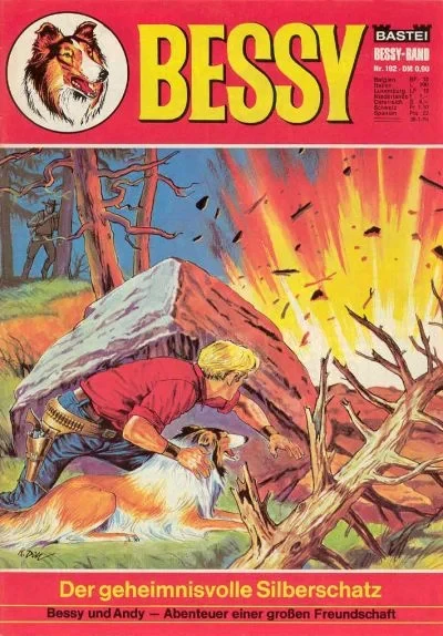 Cover of Der Geheimnisvolle Silberschatz
