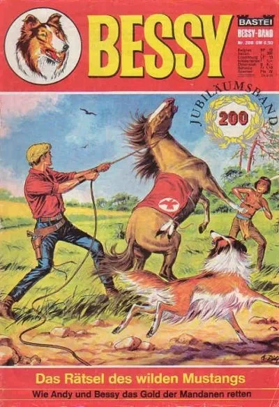 Cover of Das Ratsel des Wilden Mustangs