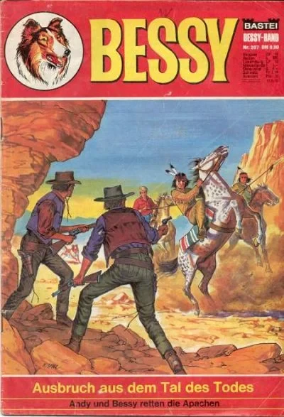 Cover of Ausbruch aus dem Tal des Todes