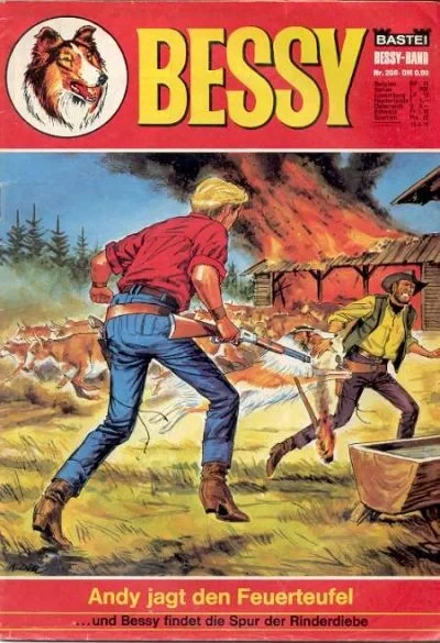 Cover of Andy Jagt den Feuerteufel