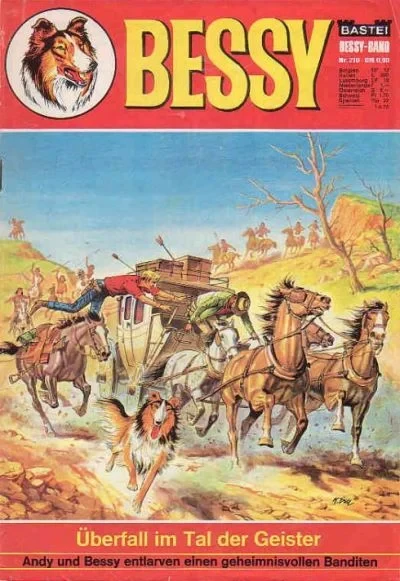 Cover of Uberfall im Tal der Geister