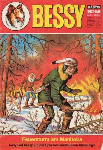 Cover of Feuersturm am Manitoba