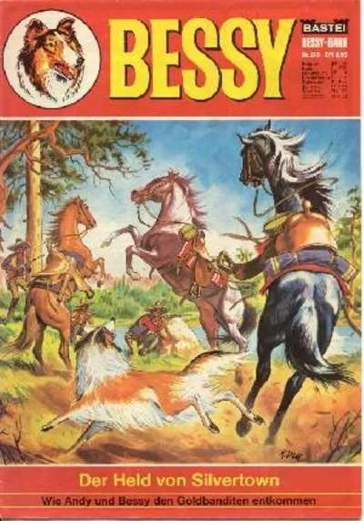 Cover of Der Held von Silvertown