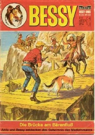 Cover of Die Brucke am Barenfluss