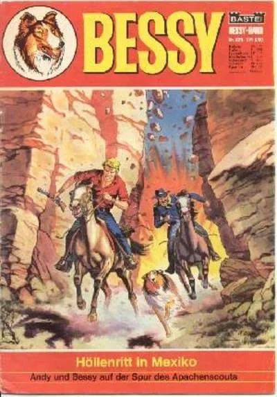 Cover of Hollenritt in Mexiko