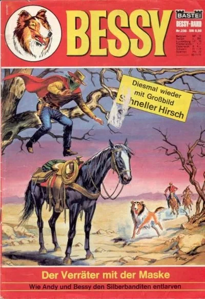 Cover of Der Verrater mit der Maske