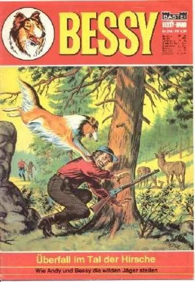 Cover of Uberfall im Tal der Hirsche