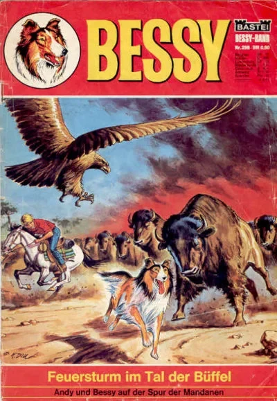 Cover of Feuersturm im Tal der Buffel