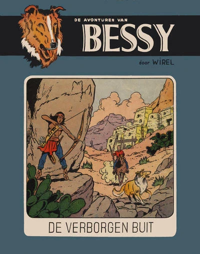 Cover of De verborgen buit