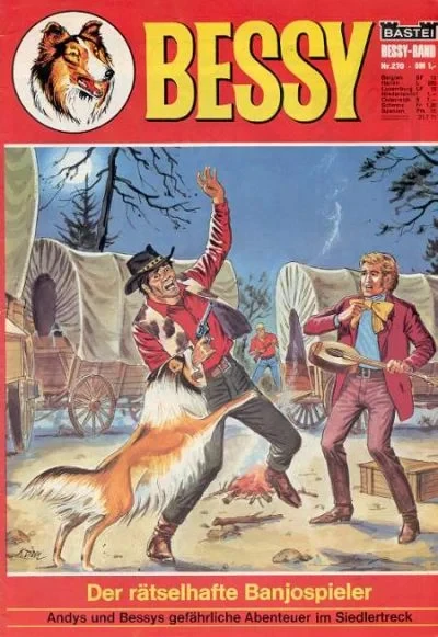 Cover of Der Ratselhefte Banjospieler