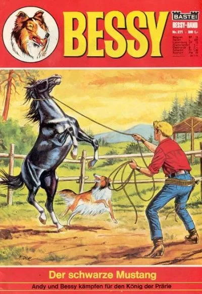 Cover of Der Schwarze Mustang