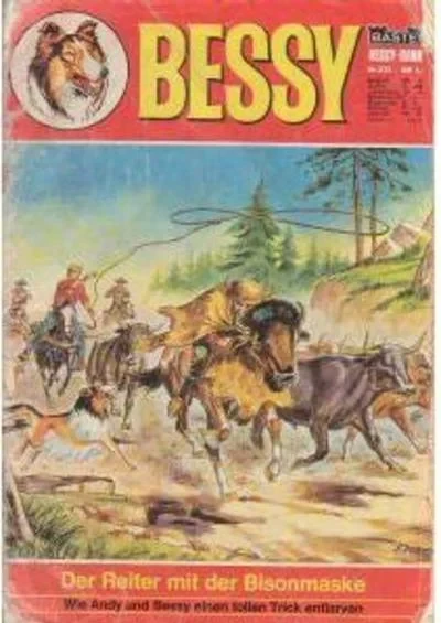 Cover of Der Reiter mit der Bisonmaske