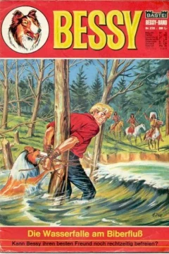 Die Wasserfalle am Biberfluss