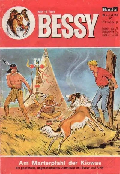 Cover of Am Marterpfahl der Kiowas