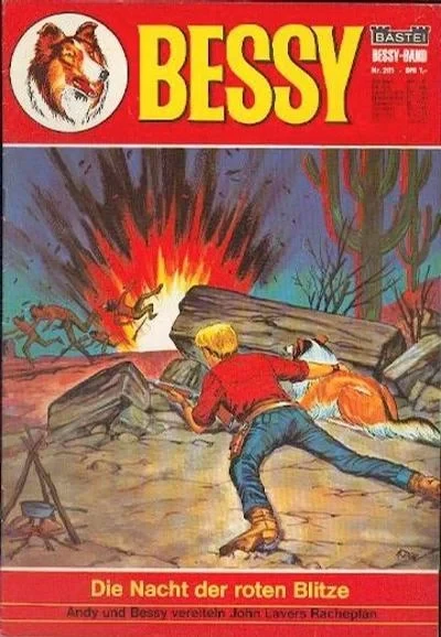 Cover of Die Nacht der Roten Blitze