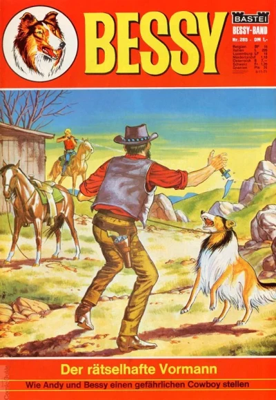 Cover of Der Ratselhafte Vormann