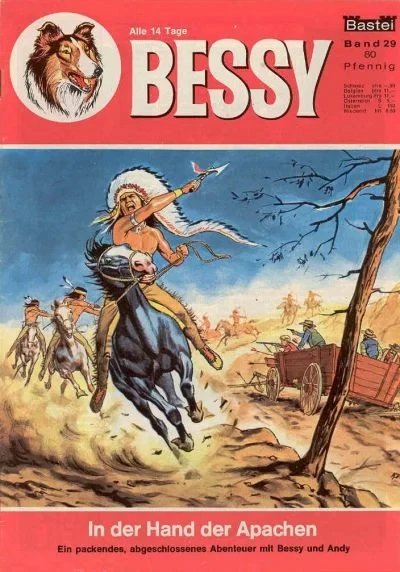 Cover of In der Hand der Apachen
