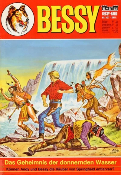 Cover of Das Geheimnis der Donnernden Wasser