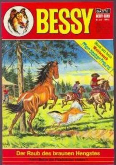 Cover of Der Raub des Braunen Hengstes