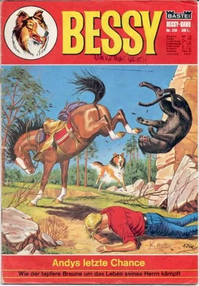 Cover of Andys Letzte Chance