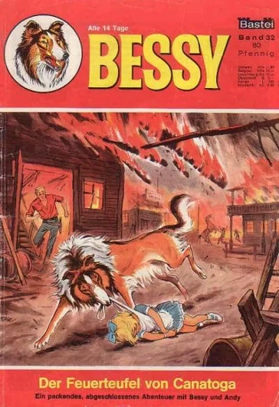 Cover of Der Feuerteufel von Canatoga