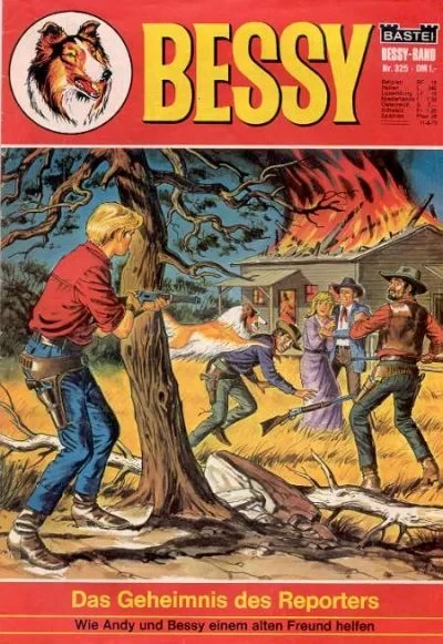Cover of Das Geheimnis des Reporters