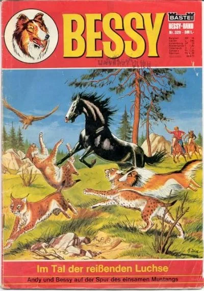 Cover of Im Tal der Reissenden Luchse