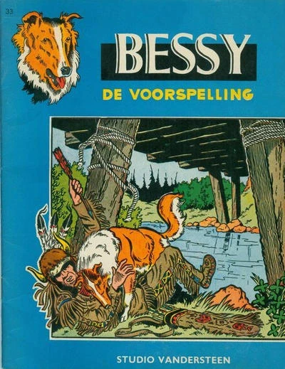 Cover of De Voorspelling