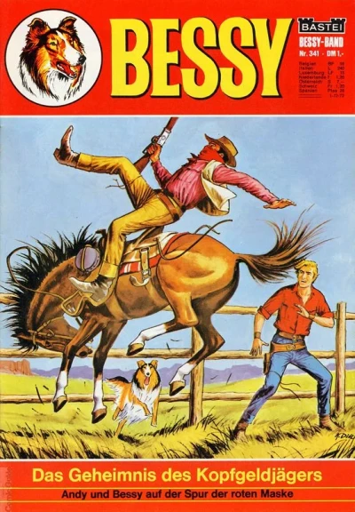 Cover of Das Geheimnis des Kofgeldjagers