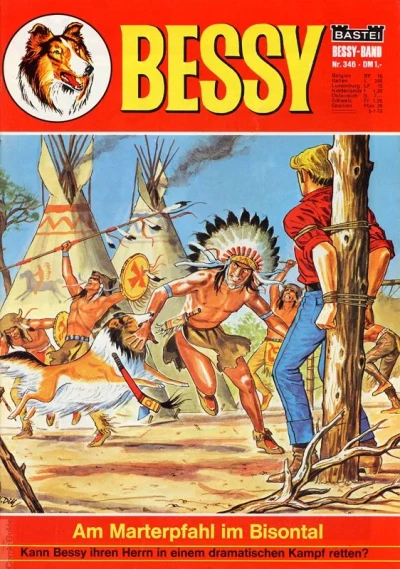 Cover of Am Marterpfahl im Bisontal