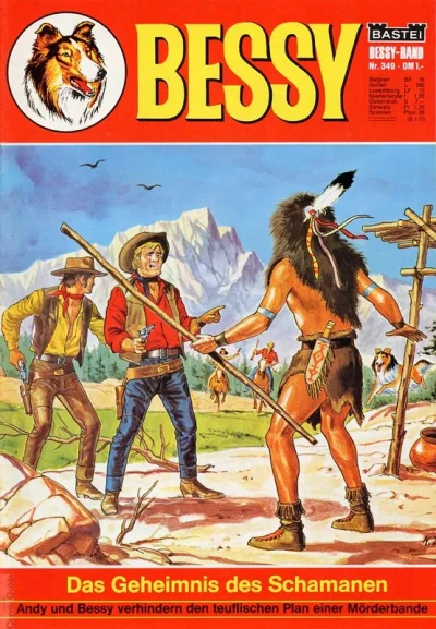 Cover of Das Geheimnis des Schamanen