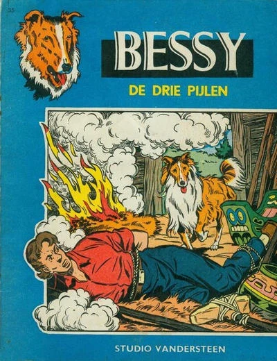 Cover of De Drie Pijlen