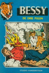 De Drie Pijlen