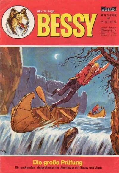 Cover of Die Grosse Prufung