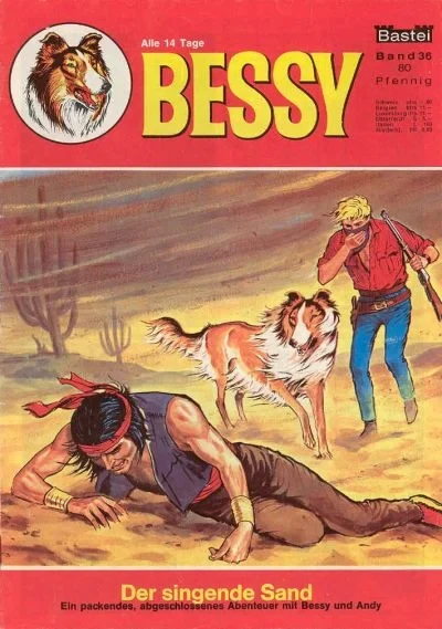 Cover of Der Singende Sand