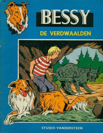 Cover of Der Verdwaalden