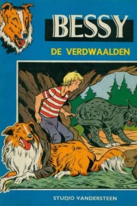 Der Verdwaalden