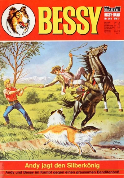 Cover of Andy Jagt den Silberkonig