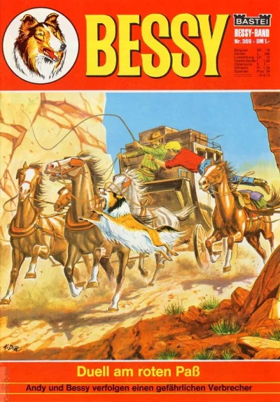 Cover of Duell am Roten Pass