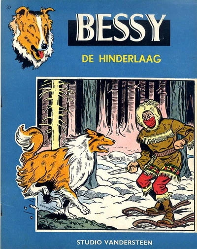Cover of De Hinderlaag