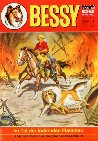 Cover of Im Tal der Lodernen Flammen