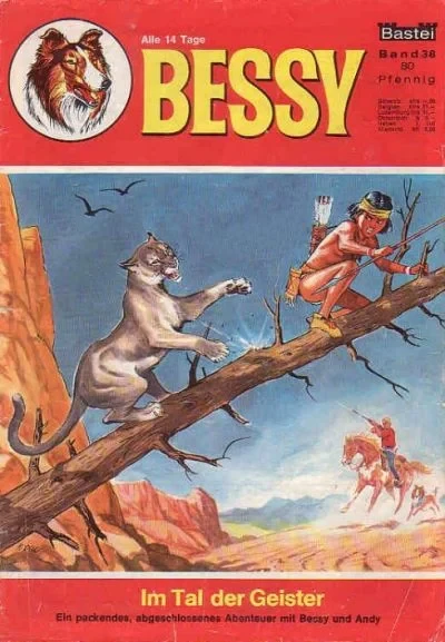 Cover of Im Tal der Geister