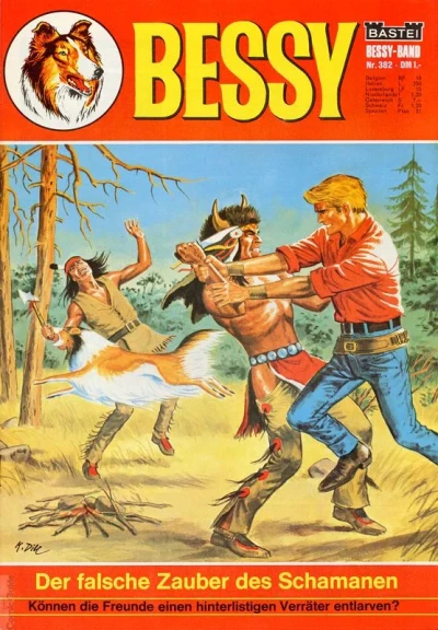 Cover of Die Falsche Zauber des Schamanen