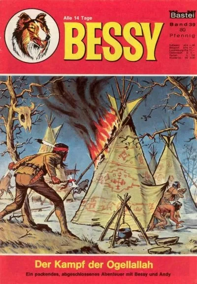 Cover of Der Kampf der Ogellallah
