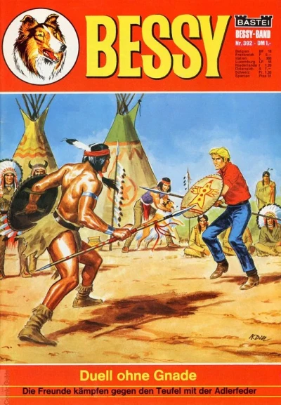 Cover of Duell ohne Gnade