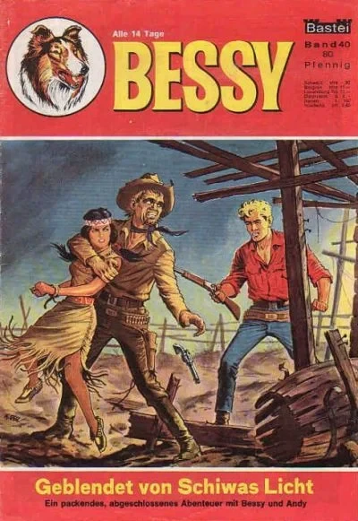 Cover of Geblendet von Schiwas Licht