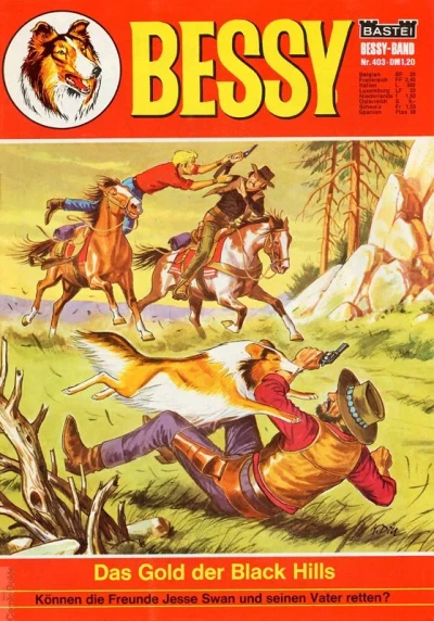 Cover of Das Gold der Black Hills